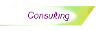 Consulting