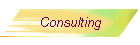 Consulting